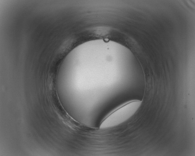 X0000081420412200701120950