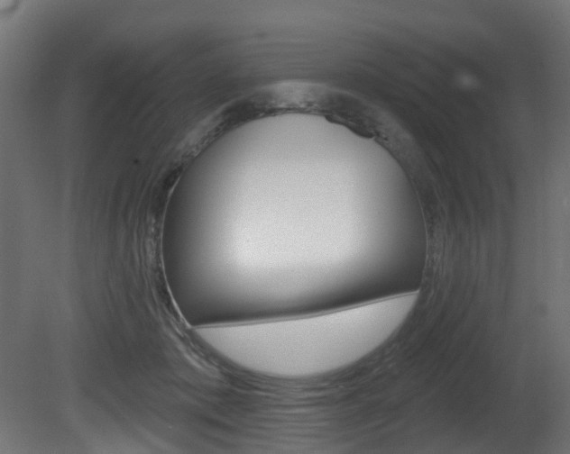 X0000081420413200701120950