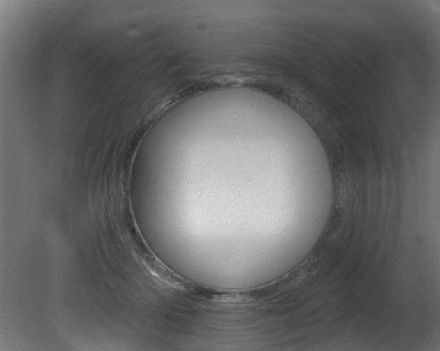 X0000081420414200701120950
