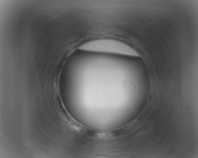 X0000081420415200701120950