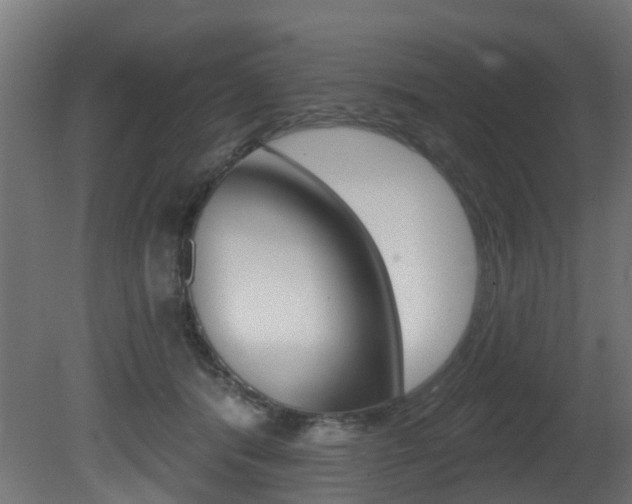 X0000081420416200701120950