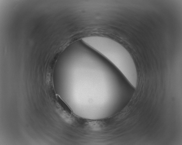 X0000081420417200701120950