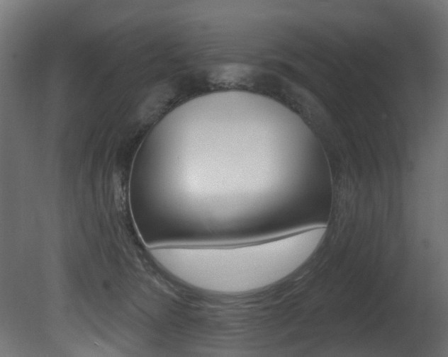 X0000081420420200701120949