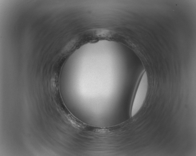 X0000081420424200701120949