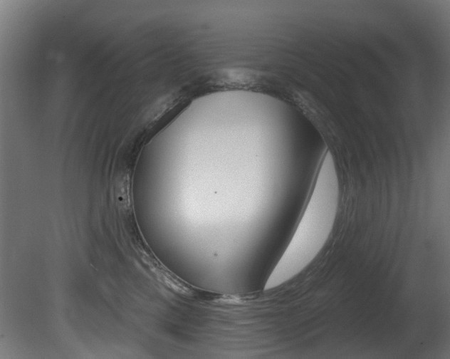 X0000081420425200701120949