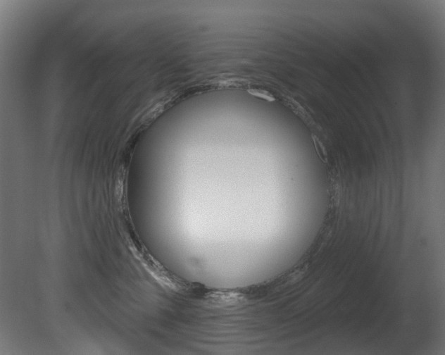X0000081420427200701120949