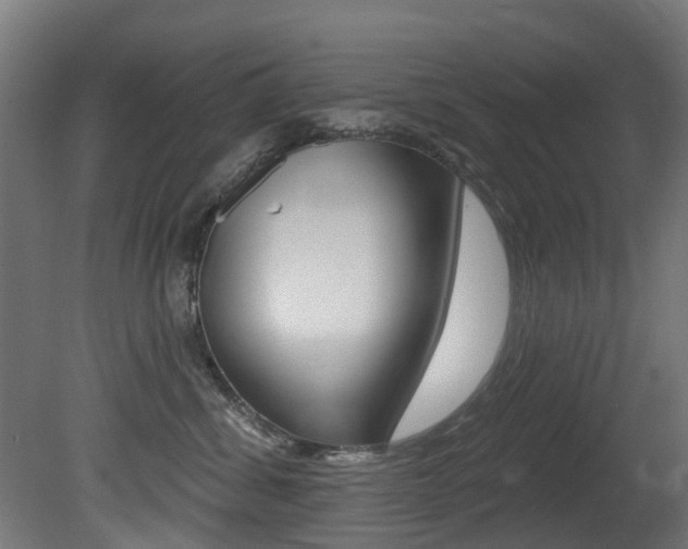 X0000081420428200701120949