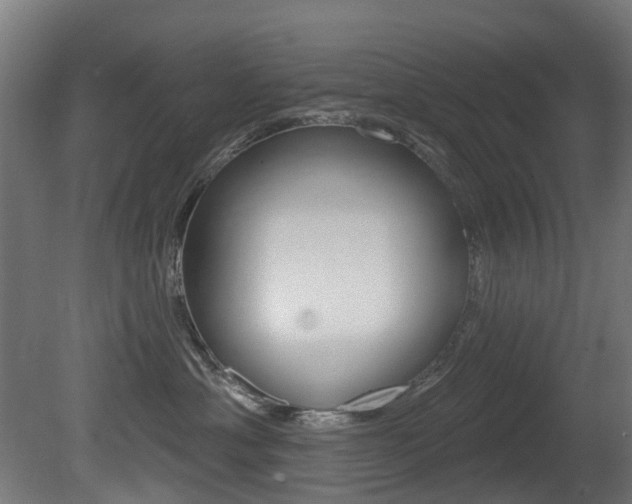 X0000081420429200701120949