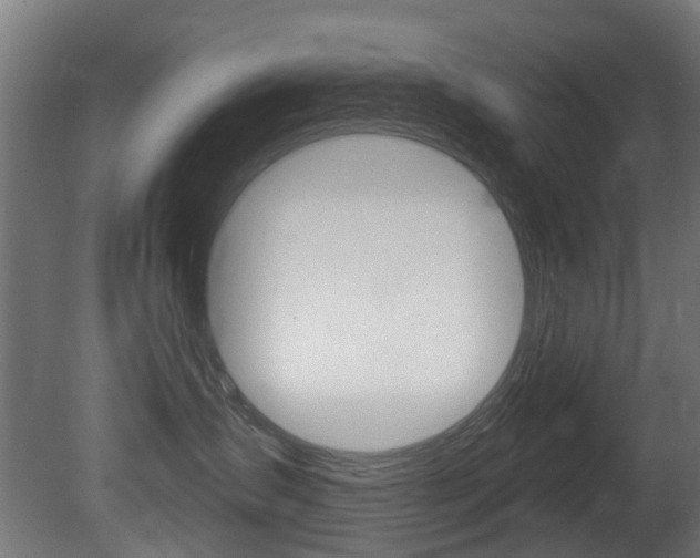 X0000081420431200701120949