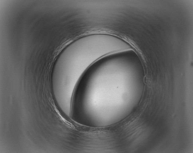X0000081420433200701120948