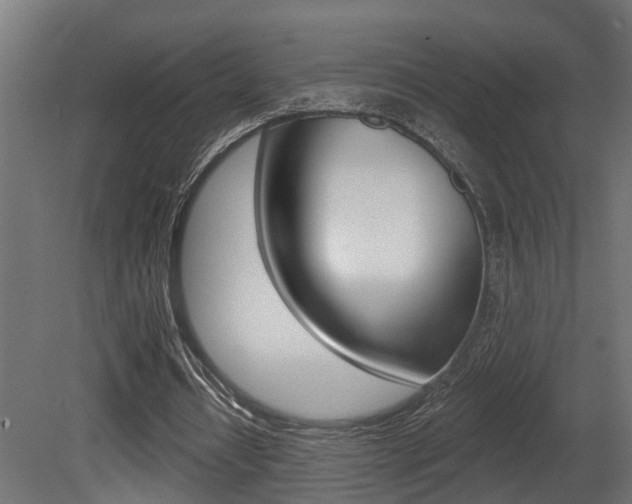 X0000081420434200701120948