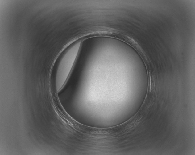X0000081420435200701120948