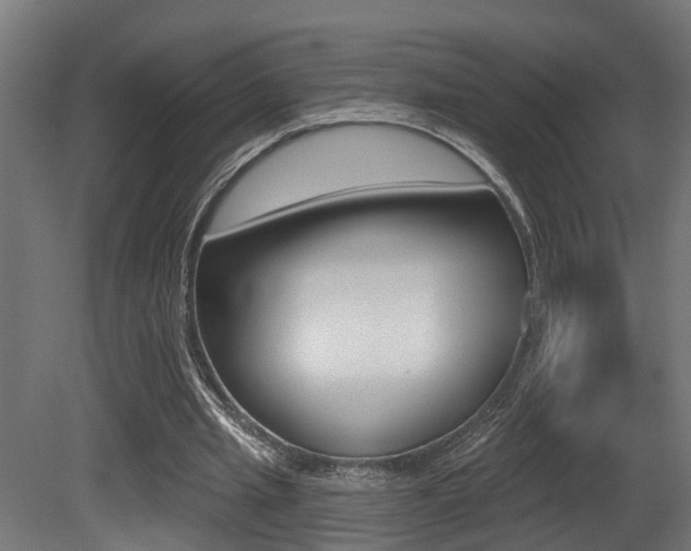 X0000081420437200701120949