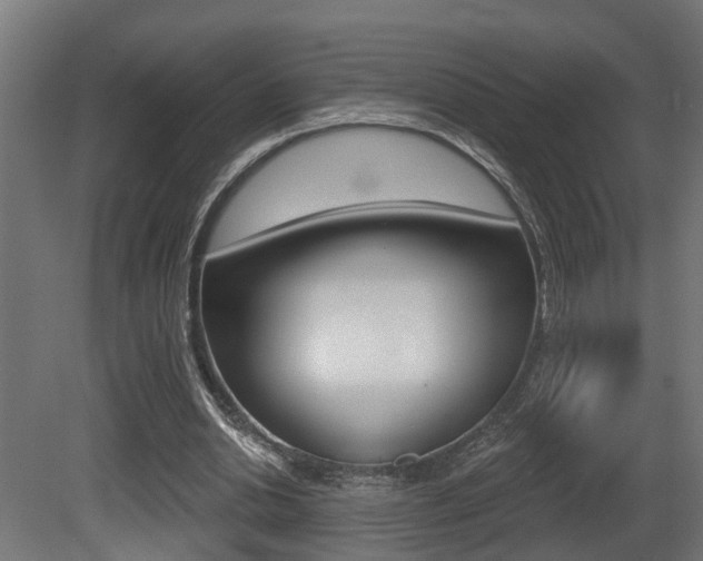X0000081420438200701120949