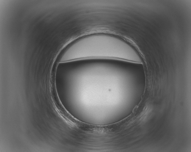 X0000081420439200701120949