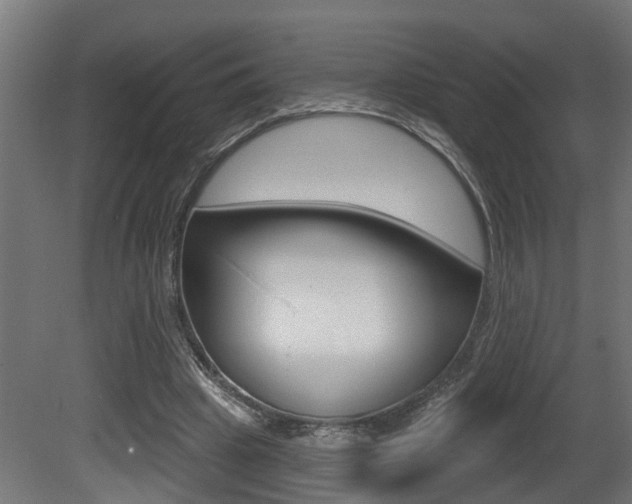 X0000081420441200701120949