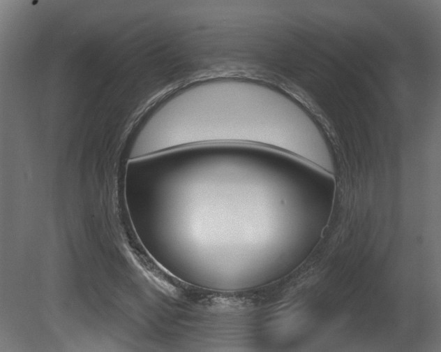 X0000081420442200701120949