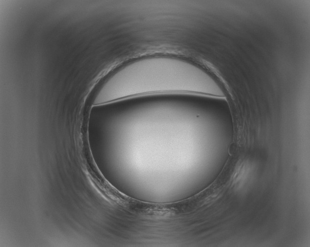 X0000081420443200701120949