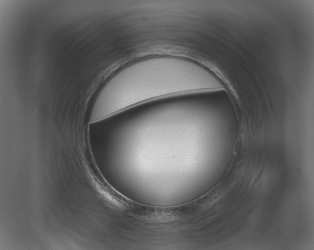 X0000081420445200701120949