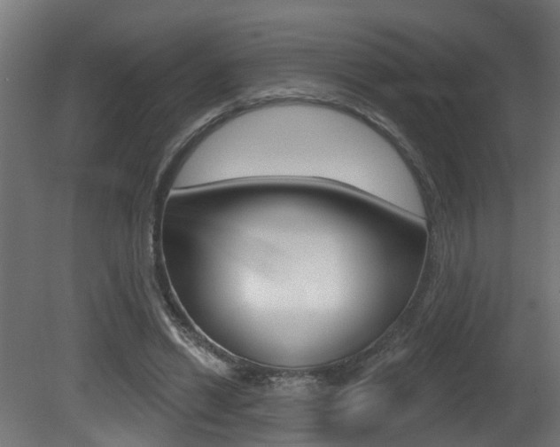 X0000081420446200701120949