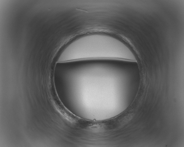 X0000081420447200701120949