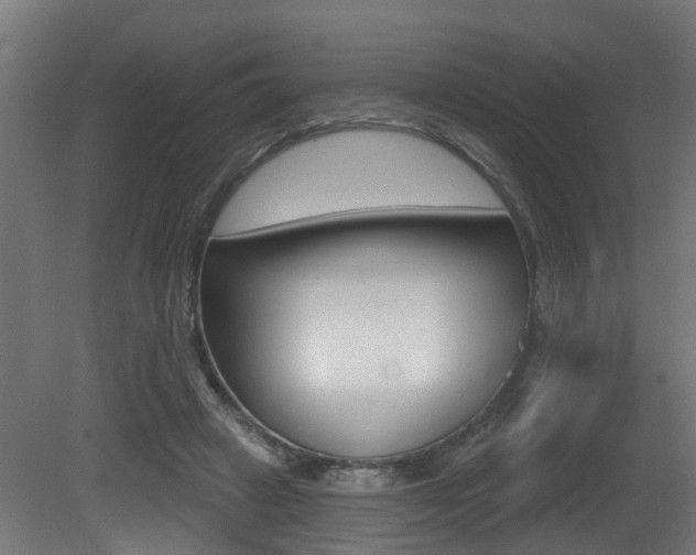 X0000081420449200701120949