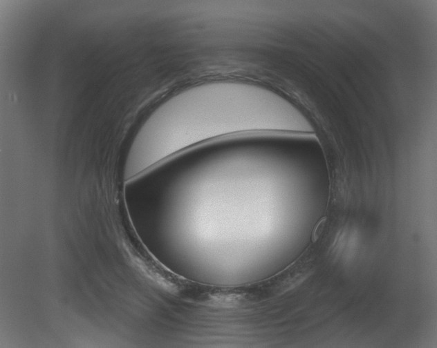 X0000081420450200701120949