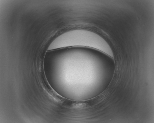 X0000081420452200701120949