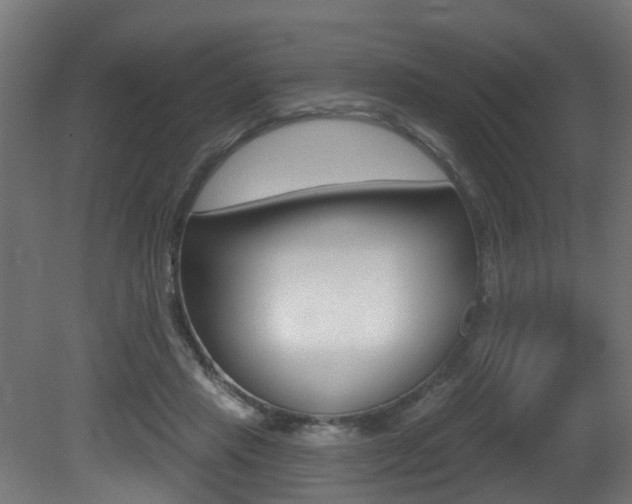 X0000081420453200701120949