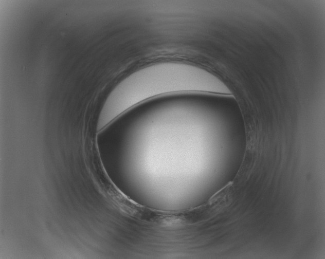 X0000081420456200701120949