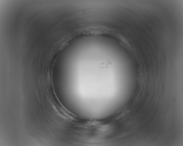 X0000081420459200701120949