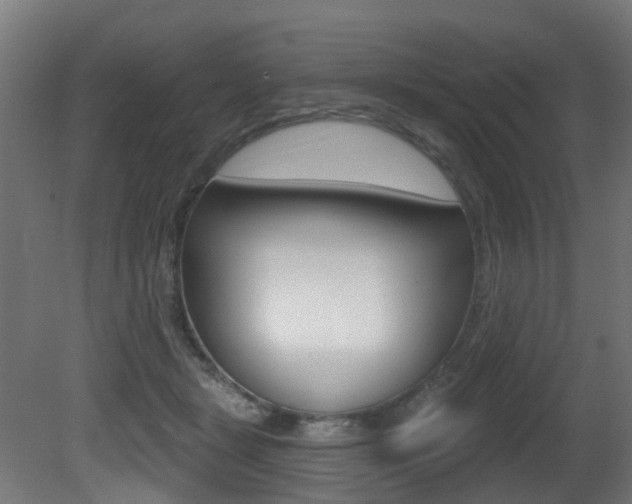 X0000081420461200701120949