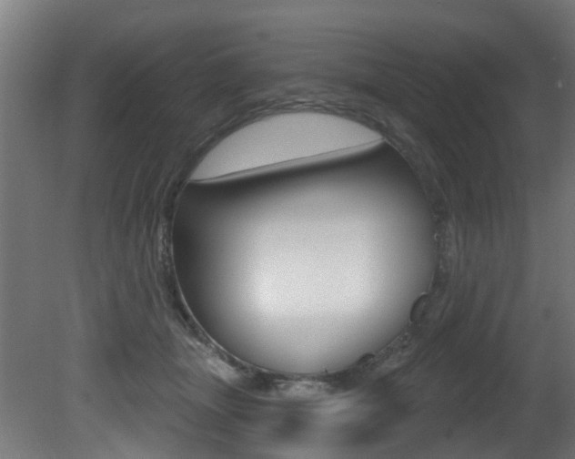 X0000081420463200701120949