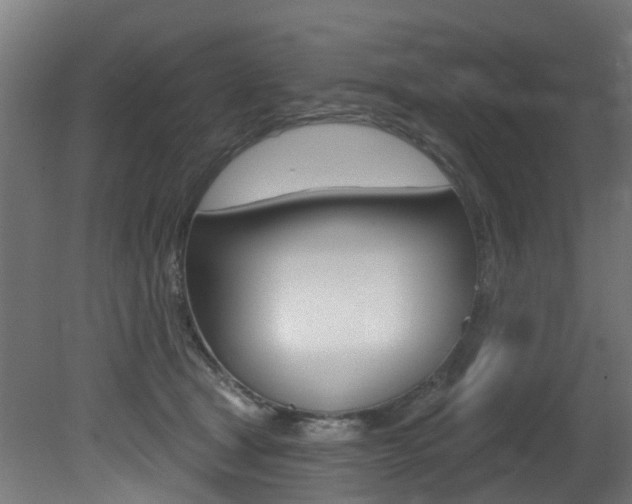 X0000081420465200701120949