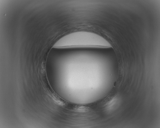 X0000081420467200701120949