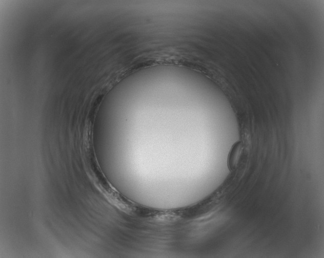 X0000081420468200701120949