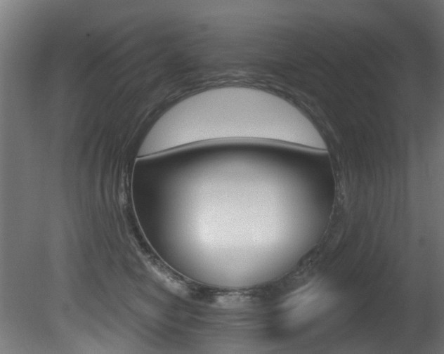 X0000081420470200701120949