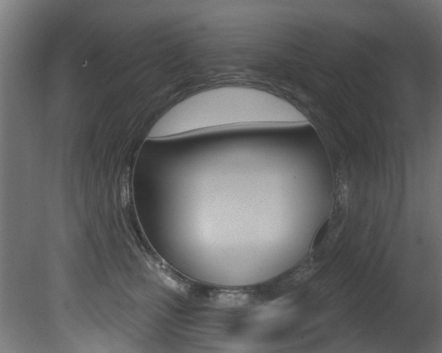 X0000081420471200701120949