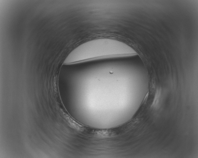 X0000081420473200701120949