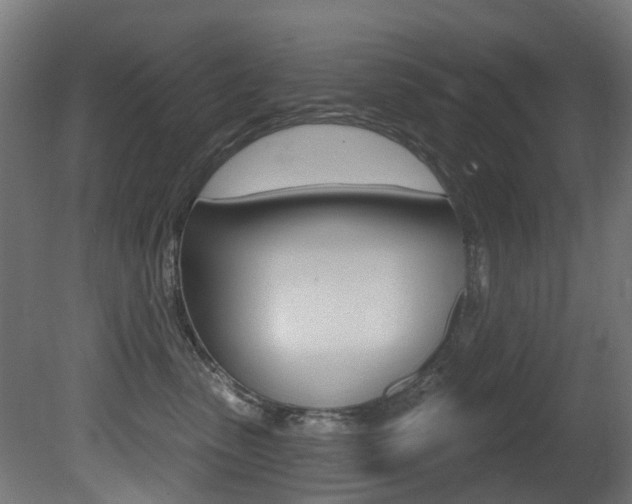 X0000081420475200701120949