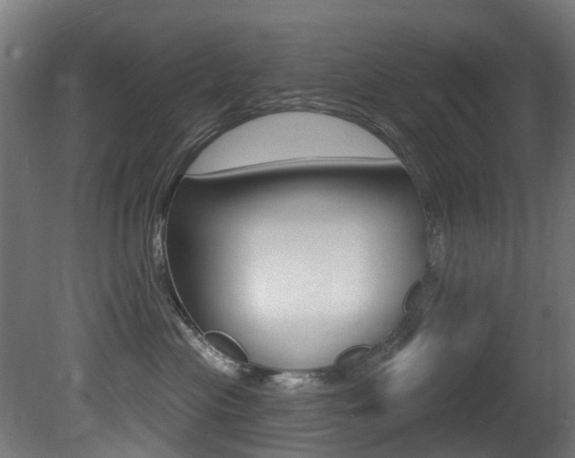 X0000081420477200701120949