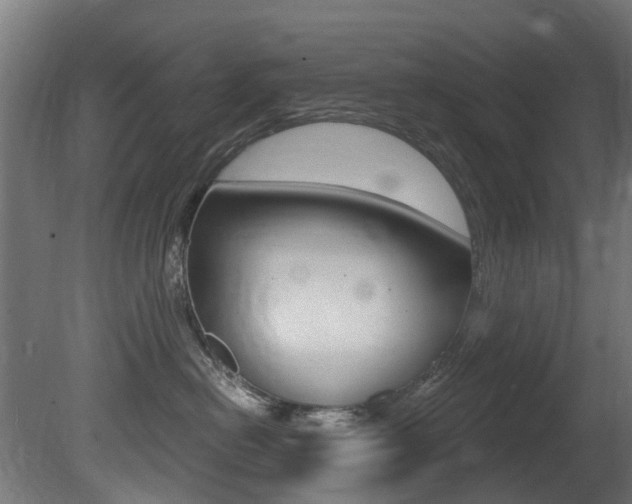 X0000081420478200701120949