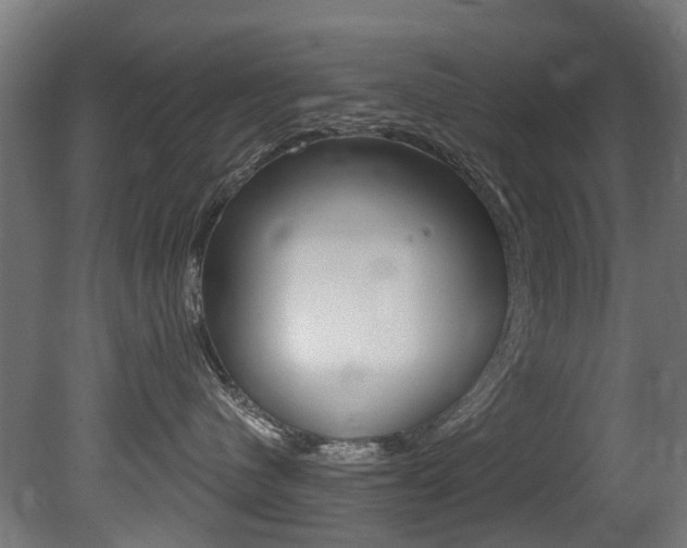 X0000081420480200701120949