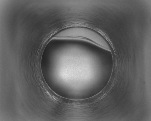 X0000081420481200701120948