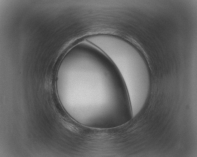 X0000081420483200701120948