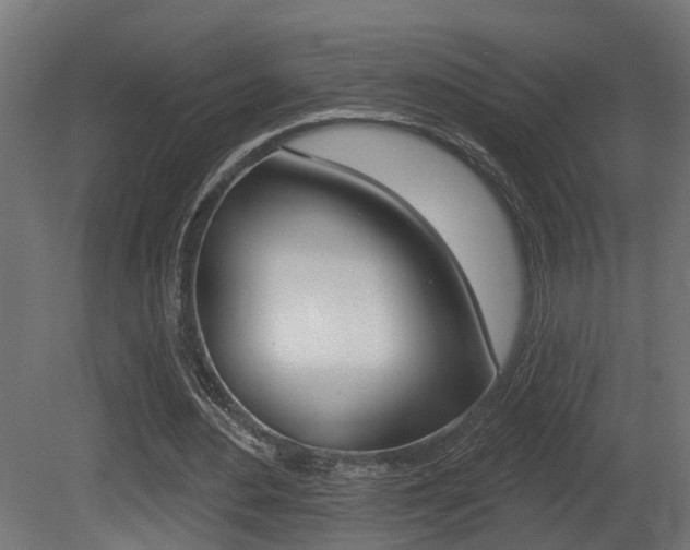 X0000081420484200701120948