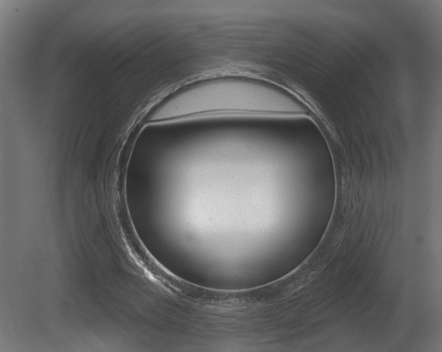 X0000081420485200701120948