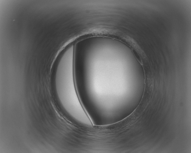 X0000081420488200701120948