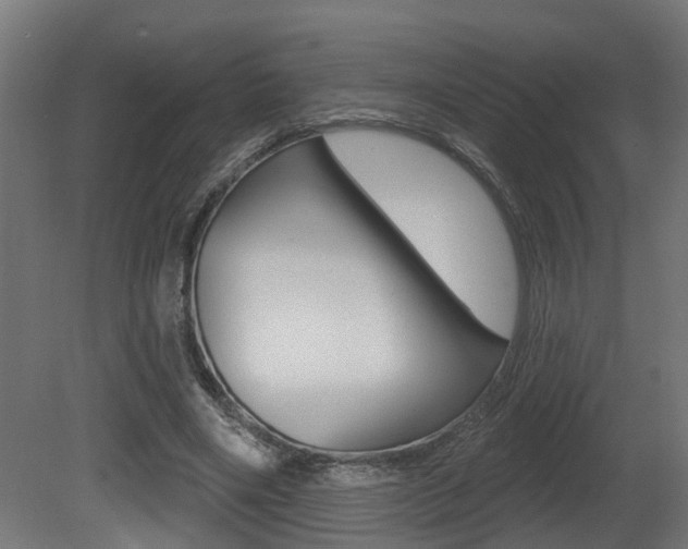 X0000081420490200701120948