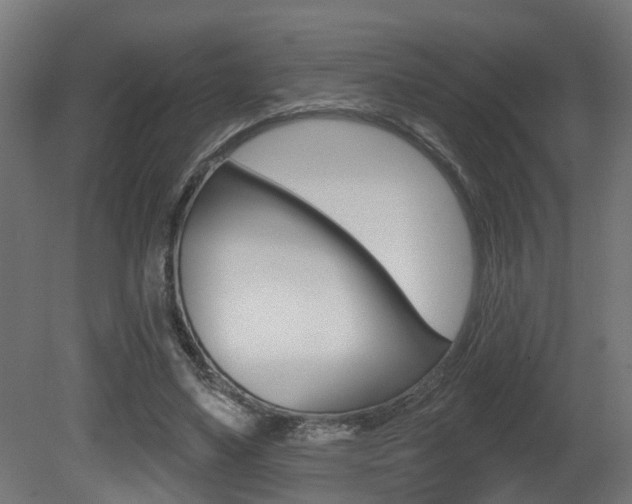 X0000081420491200701120948